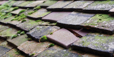 Rickling Green roof repair costs
